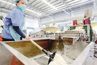 愿天下無廢 讓西青更美 ──記萬綠達(dá)(天津)再生資源利用