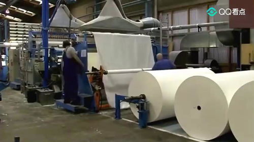 原來衛(wèi)生紙是這樣制造的,看見原材料,以后再也不敢亂用衛(wèi)生紙了