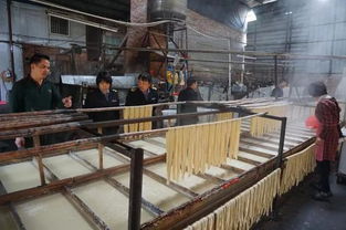 突擊檢查！欽州三家腐竹廠生產環境觸目驚心，衛生狀況堪憂