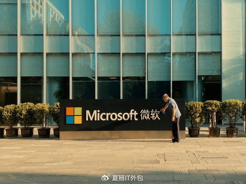 專業IT外包公司在微軟365部署與運維中的優勢